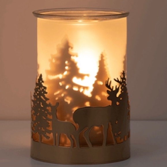 Scentsy nature’s wonders warmer EUC - Picture 2 of 5